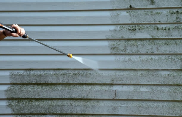 Best Fence Pressure Washing  in Perezville, TX